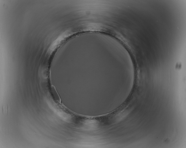 X0000112150203200908281348