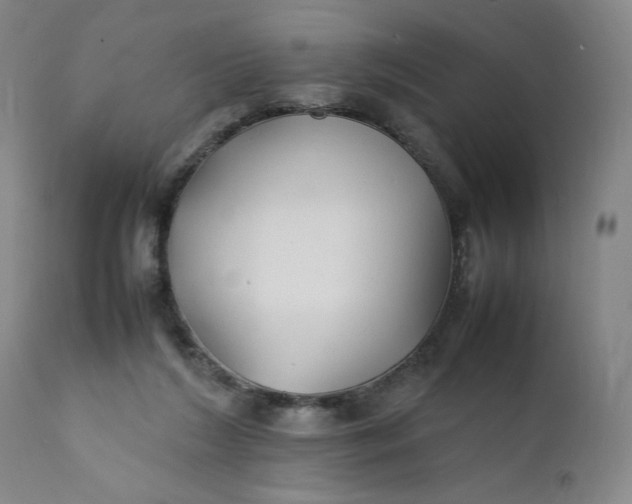 X0000112150212200908281347