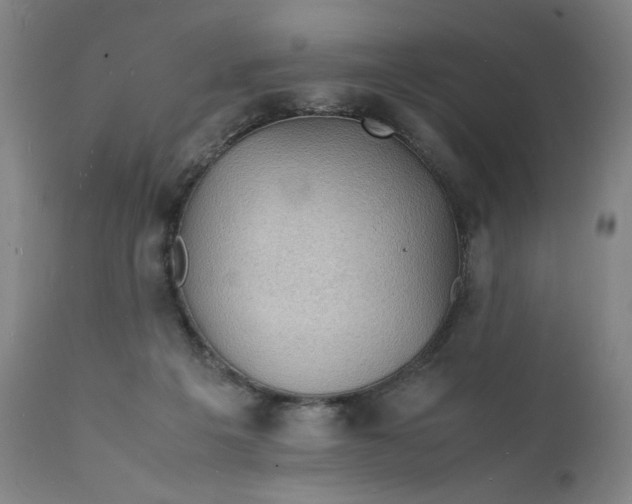 X0000112150217200908281347