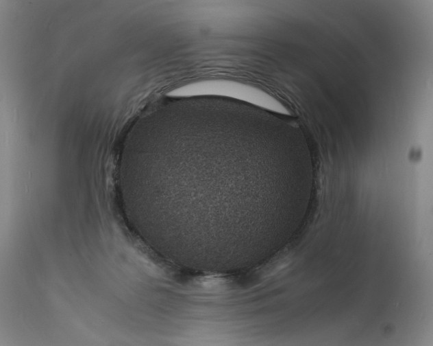 X0000112150219200908281347