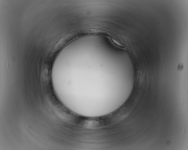 X0000112150220200908281347