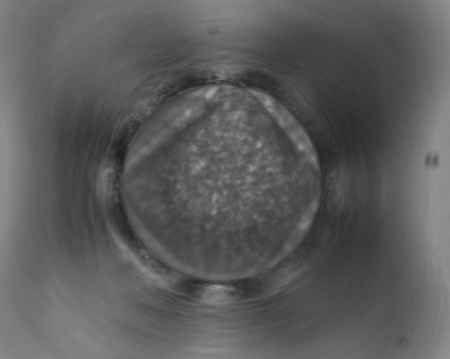 X0000112150222200908281347