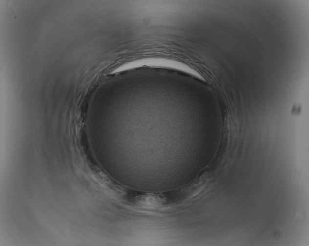 X0000112150223200908281347