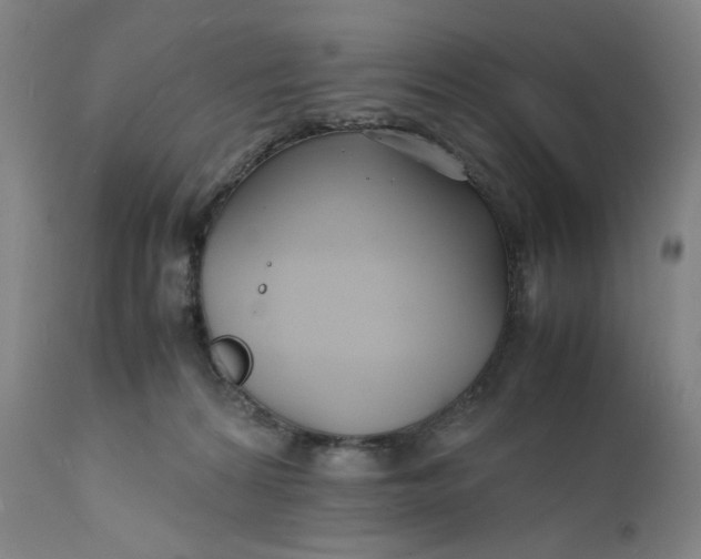 X0000112150224200908281347