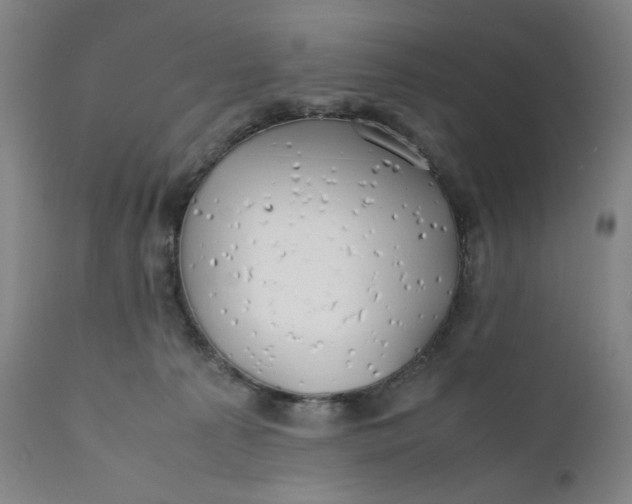 X0000112150225200908281347