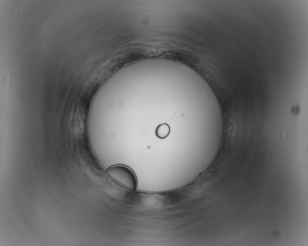 X0000112150226200908281347