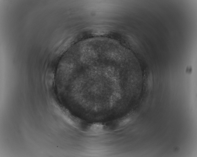 X0000112150227200908281347