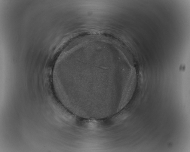 X0000112150229200908281347