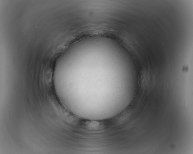 X0000112150230200908281347