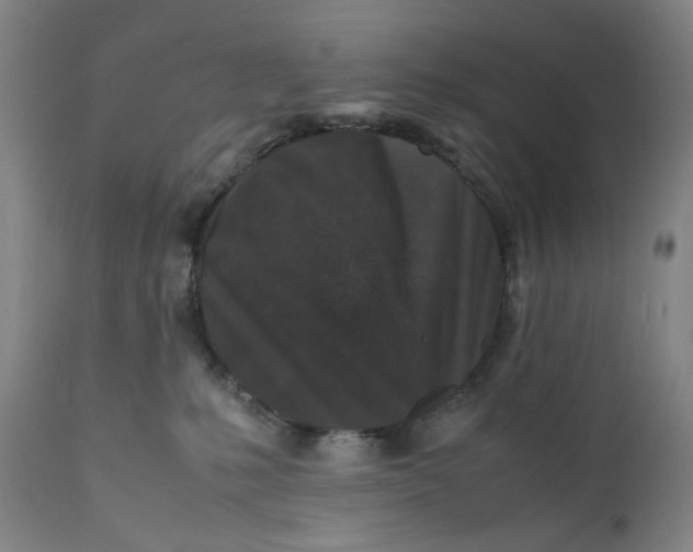 X0000112150231200908281347