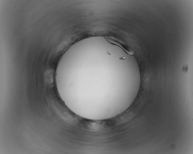 X0000112150232200908281347