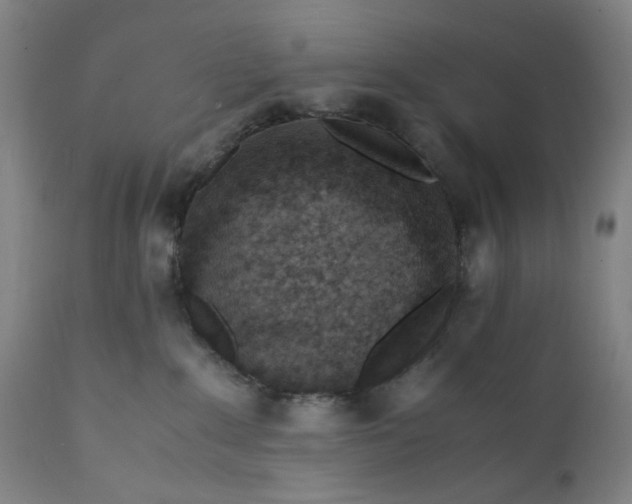 X0000112150235200908281347