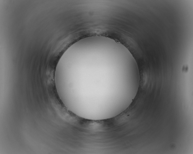 X0000112150236200908281347