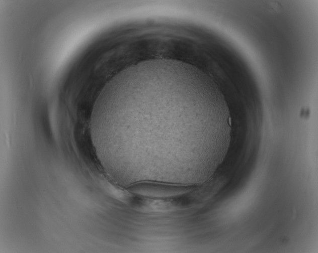 X0000112150239200908281347