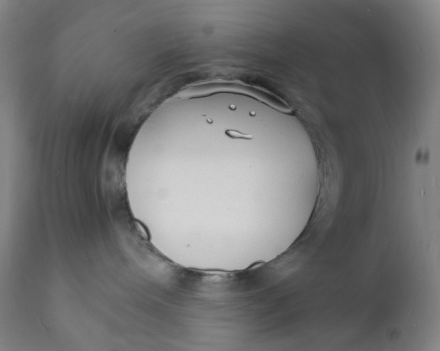 X0000112150240200908281347