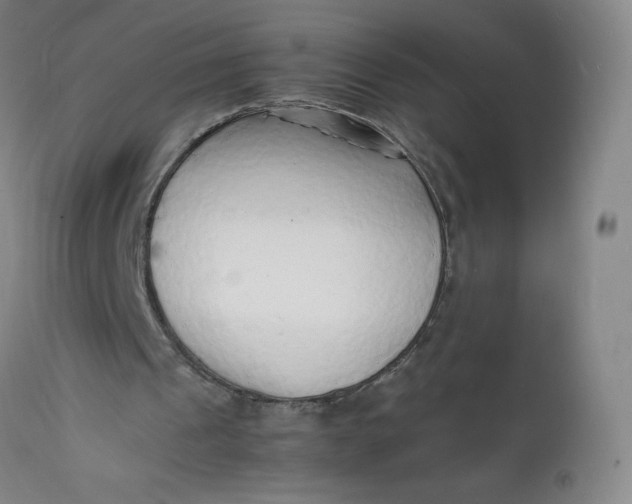 X0000112150241200908281346