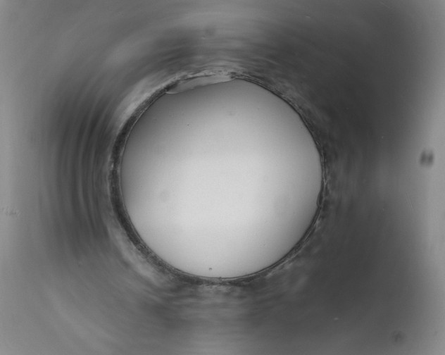 X0000112150242200908281346