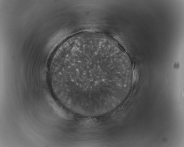 X0000112150243200908281346