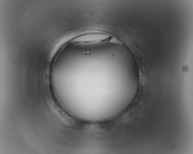 X0000112150244200908281346