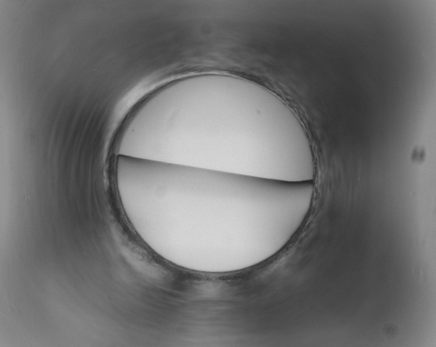 X0000112150246200908281346