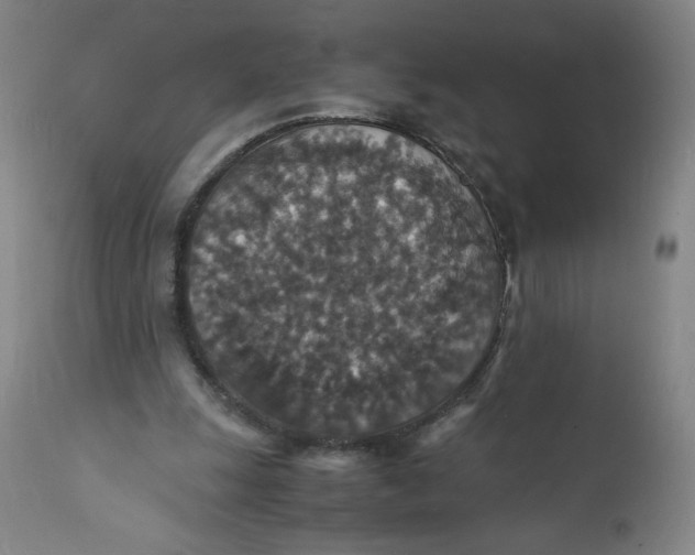 X0000112150247200908281346