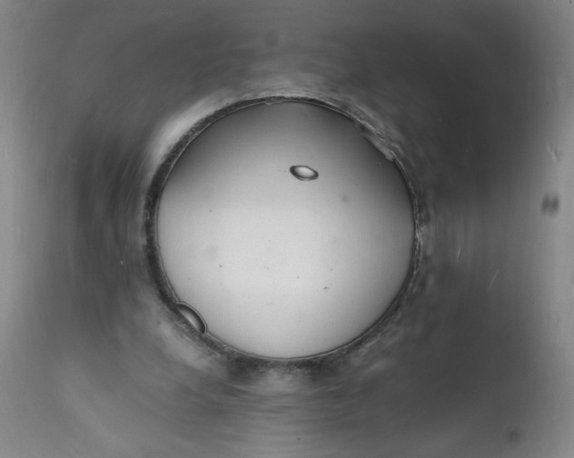 X0000112150248200908281346