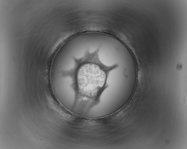 X0000112150249200908281347