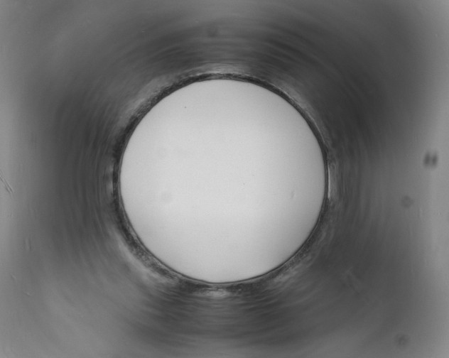 X0000112150253200908281347