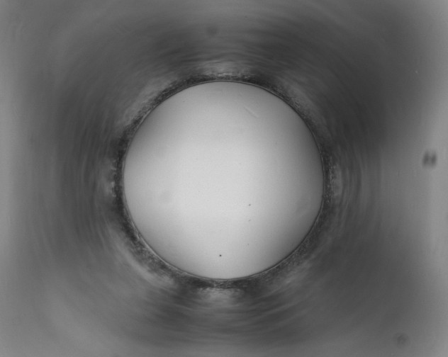 X0000112150255200908281347