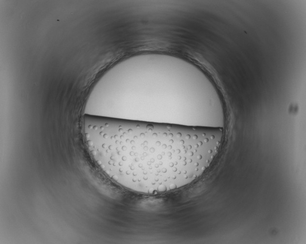 X0000112150257200908281347