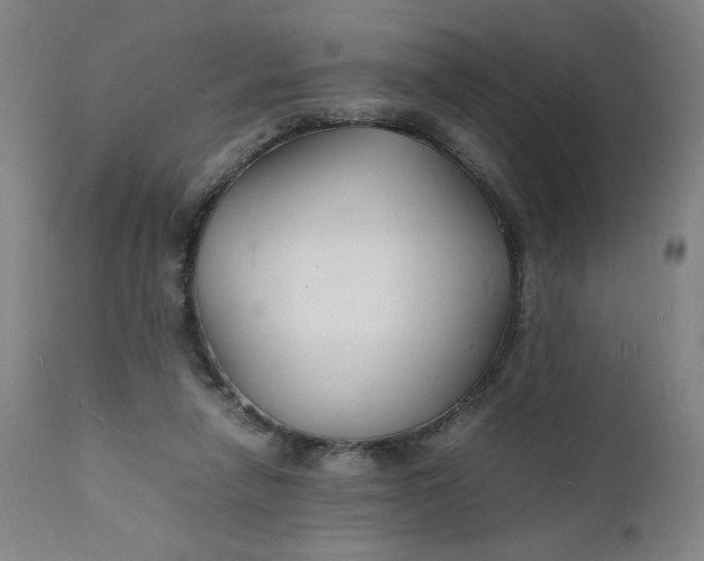 X0000112150258200908281347