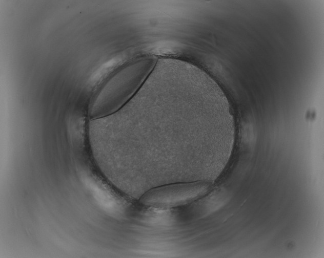 X0000112150260200908281347