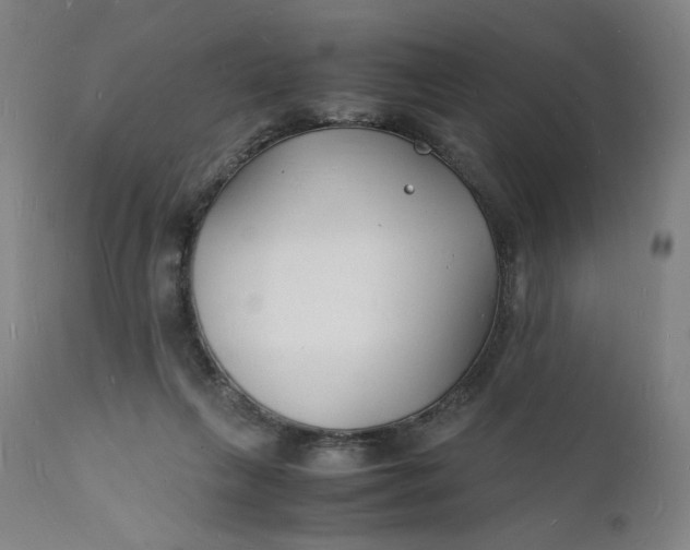 X0000112150263200908281347