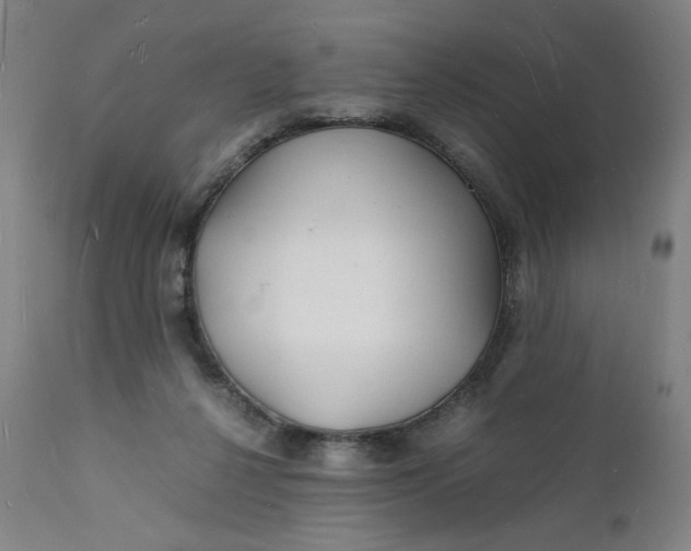 X0000112150264200908281347