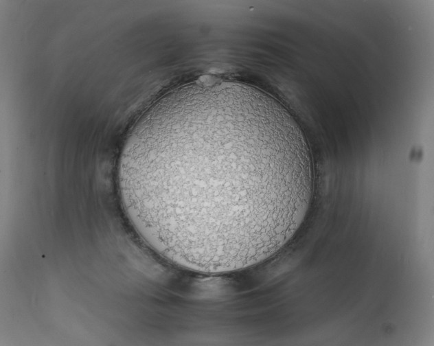 X0000112150269200908281347