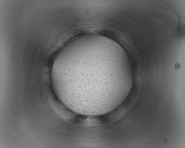 X0000112150270200908281347