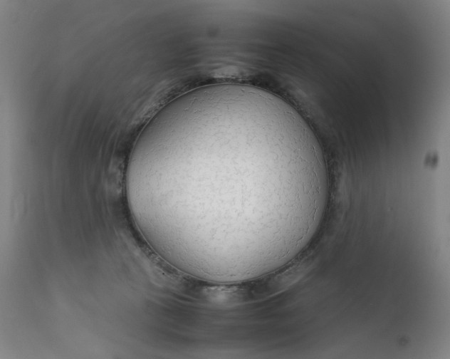 X0000112150273200908281347