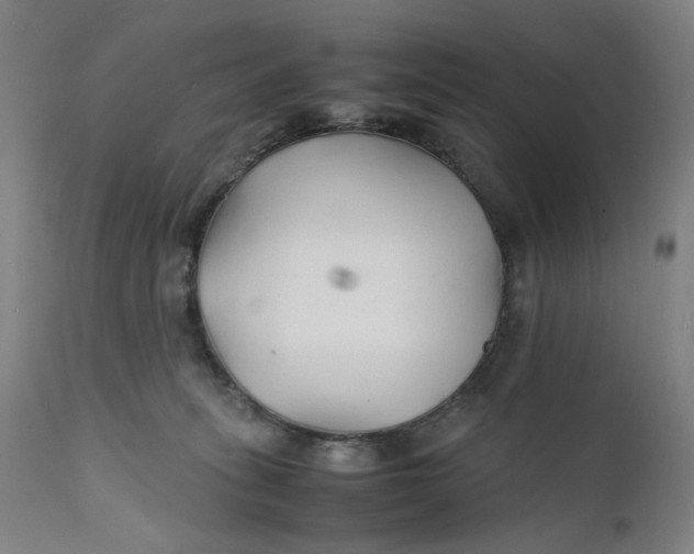 X0000112150275200908281347