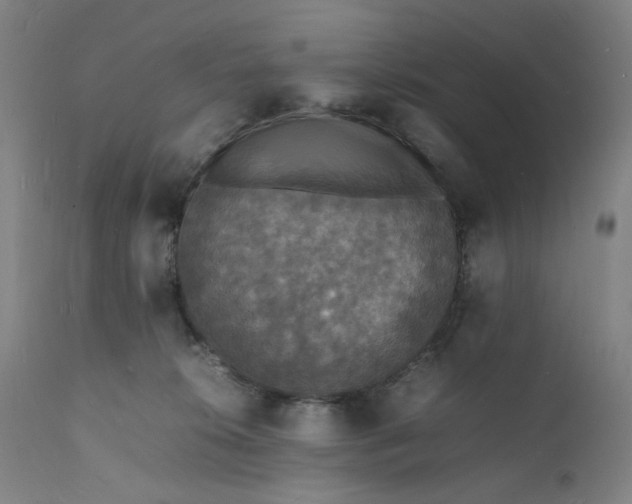 X0000112150276200908281347