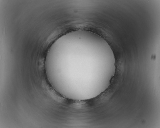 X0000112150278200908281347