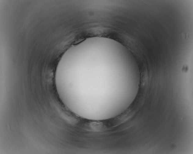 X0000112150279200908281347