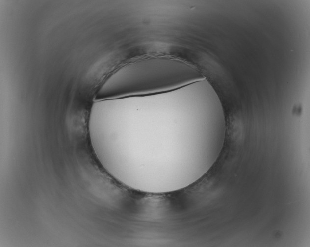 X0000112150280200908281347