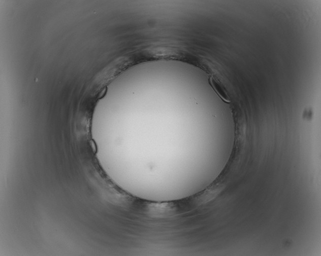 X0000112150281200908281347