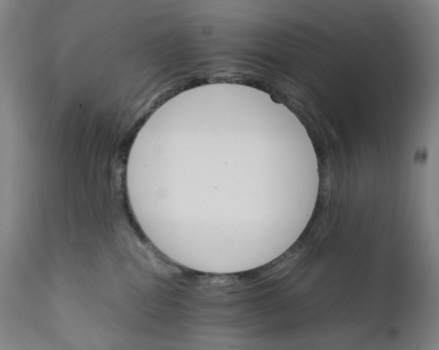 X0000112150282200908281347