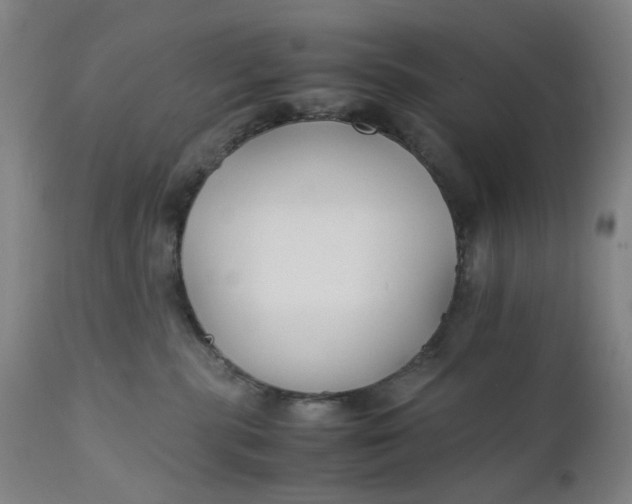 X0000112150283200908281347