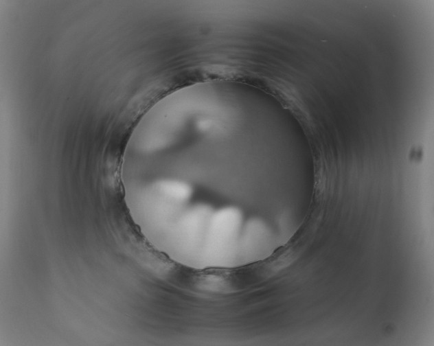 X0000112150285200908281347