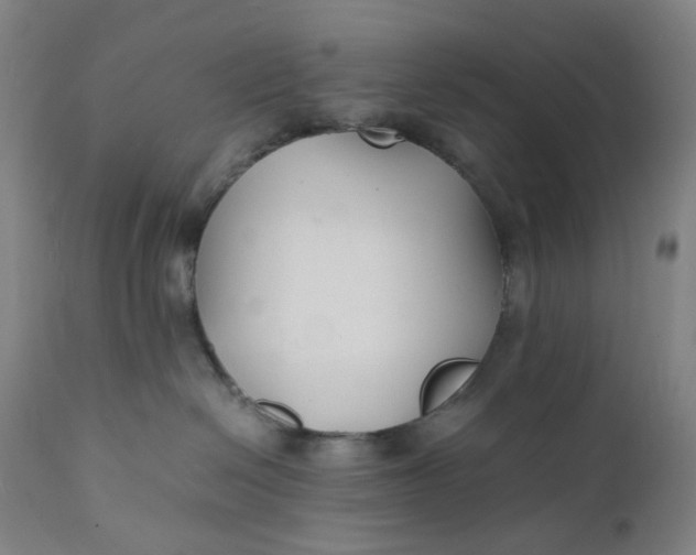 X0000112150286200908281347