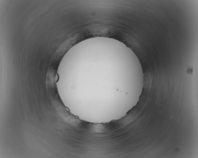 X0000112150287200908281347