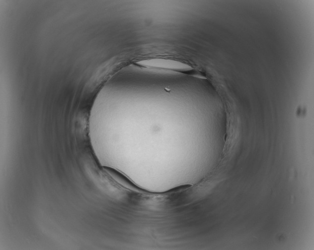 X0000112150288200908281347