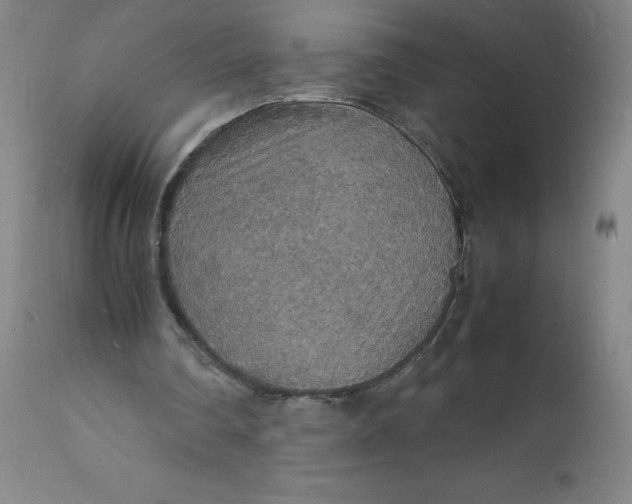 X0000112150290200908281346